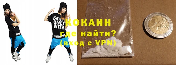 крисы Козельск