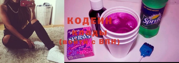 шишки Киренск