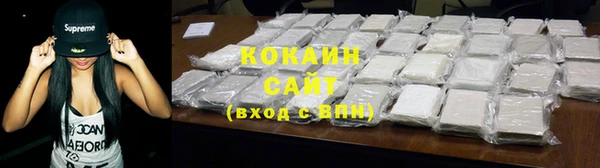 крисы Козельск