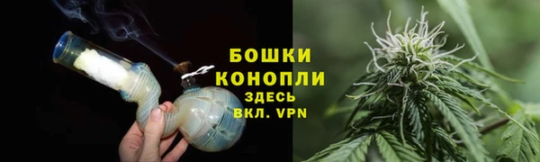 гидра Кинешма