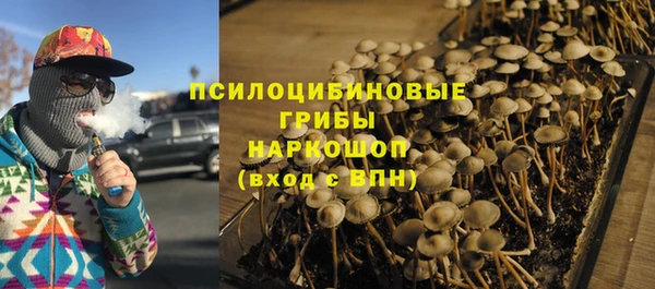 гидра Кинешма