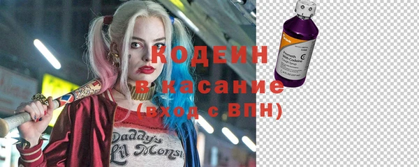 шишки Киренск