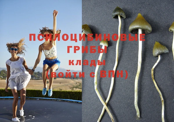 гидра Кинешма