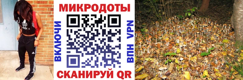 Галлюциногенные грибы Magic Shrooms  где можно купить наркотик  Пошехонье 